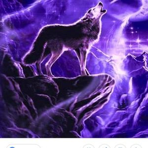 Meet your Posher, Kaira